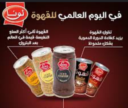 LUNA ICED COFFEE MOCHA 24X290 M