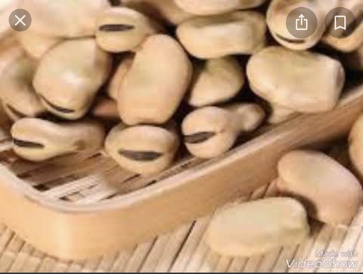 NAZ FEVE SECS 800gx12