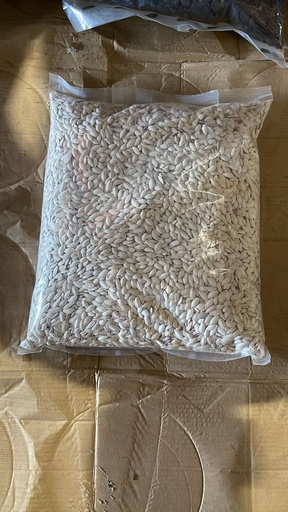 [bz 035] Pumpkin white seeds 5kg