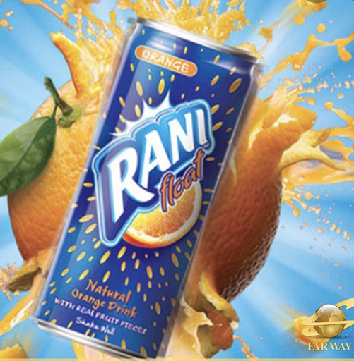 [jo 036] RANI JUICE 24X250M